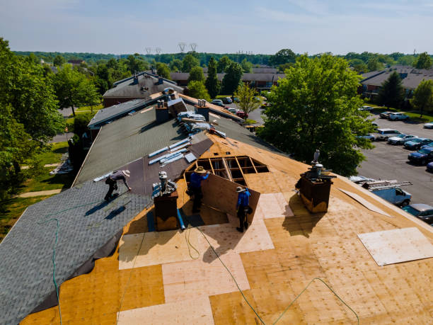 Trusted Roof Replacement service in Jackson, CA - Brentwood Metal Roofing